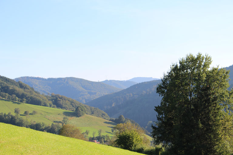 Aussicht Ramingtal Kleinraming